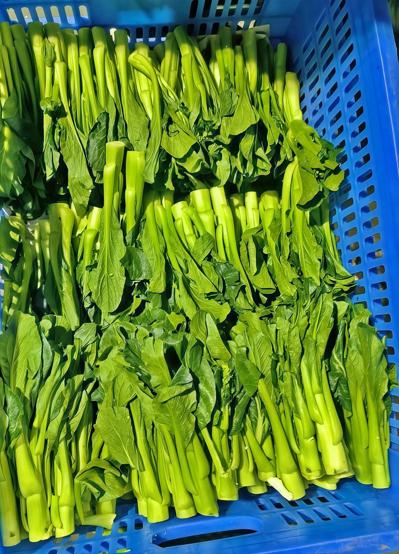 食堂食材配送：品质生活的背后