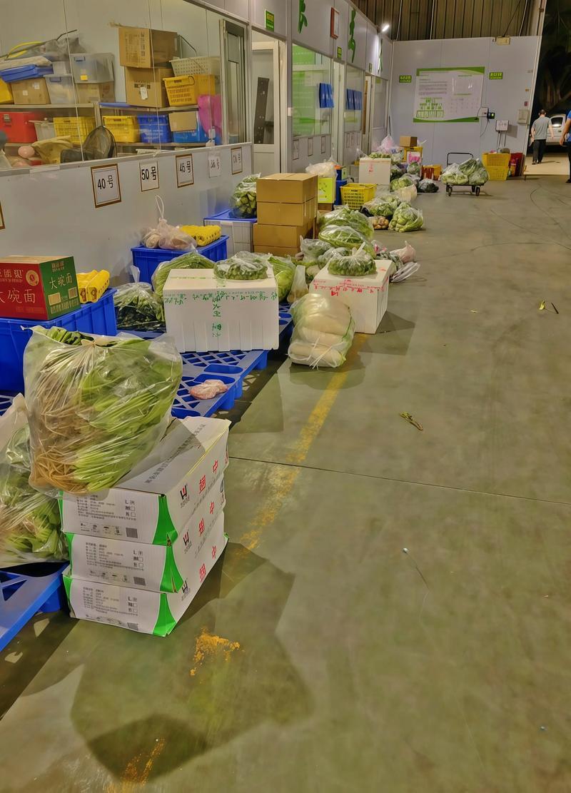 广东蔬菜配送