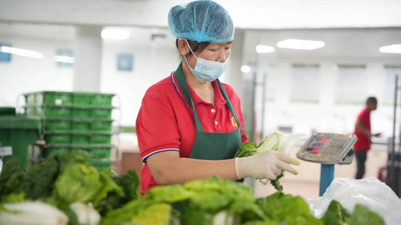 生鲜配送公司正在书写未来食品的新篇章